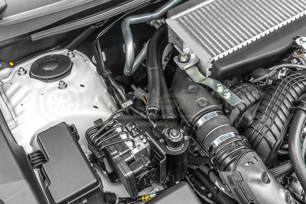 Radium PCV Fluid Lock Catch Can Kit - Subaru WRX VB 22+