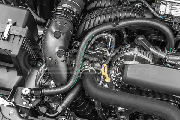 Radium Dual PCV/CCV Fluid Lock Catch Can Kit - Subaru WRX VB 22+