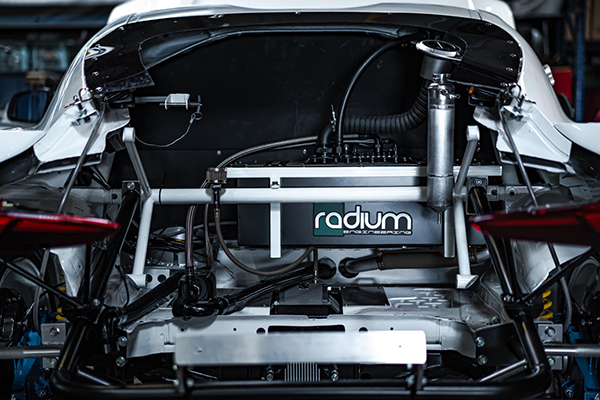 Radium Fuel Cell Weld In Cage 22 Gallon