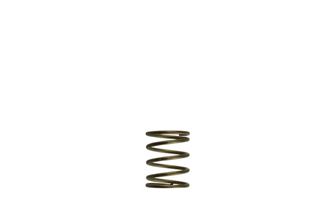 GenV WG45/50 3psi Orange Inner Spring TS-0550-3085