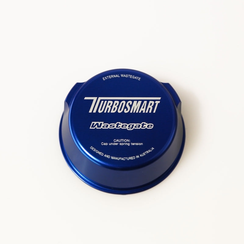 Gen4 WG38 UltraGate Top Cap Replacement - Blue TS-0501-3005
