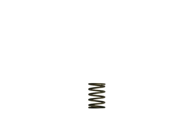 GenV WG38/40 3psi Black Inner Spring TS-0550-3081