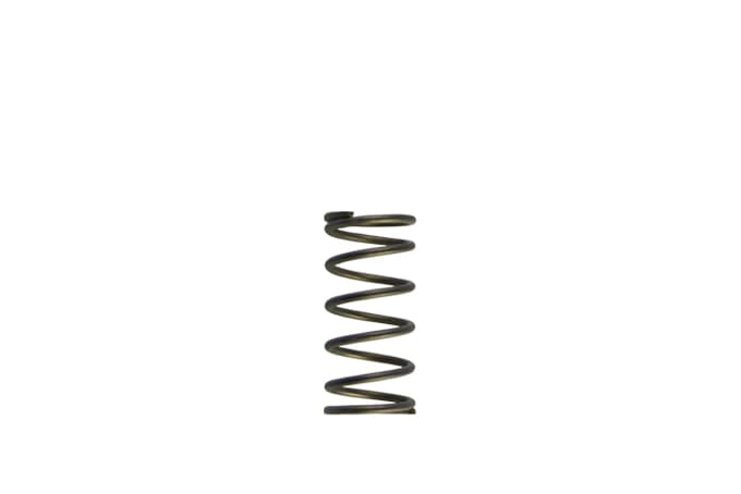 GenV WG60 5psi Purple Inner Spring TS-0550-3090