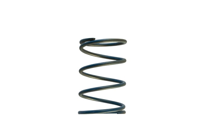 GenV WG45/50 14psi Blue Outer Spring TS-0550-3088